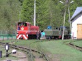 Majdan - Stacja Bieszczadzkiej Kolejki Leśnej_71